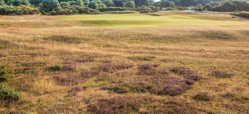 16th green 