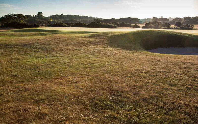 5th green over bunker